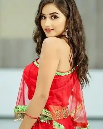 Escort In Jahangirabad